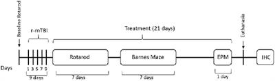Treatment With Nilvadipine Mitigates Inflammatory Pathology and Improves Spatial Memory in Aged hTau Mice After Repetitive Mild TBI